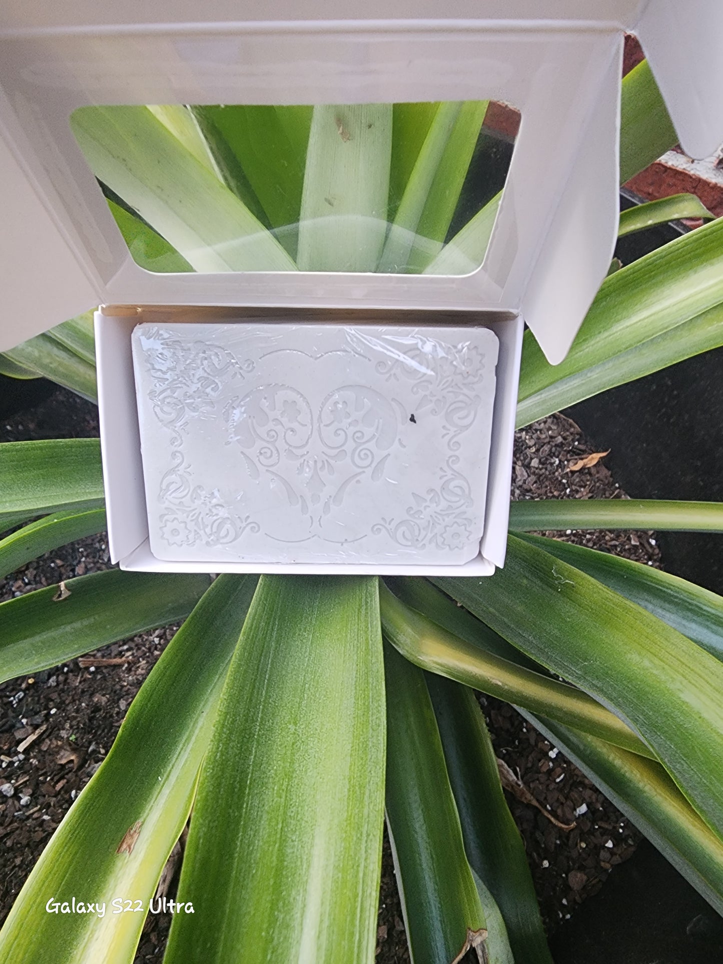 Aloe vera soap